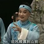 黄梅戏《雾里青传奇》百度云盘下载