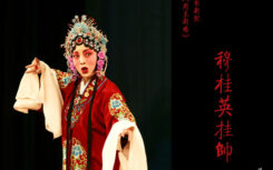 下载河南豫剧 下载豫剧大全 55集打包Y3021105