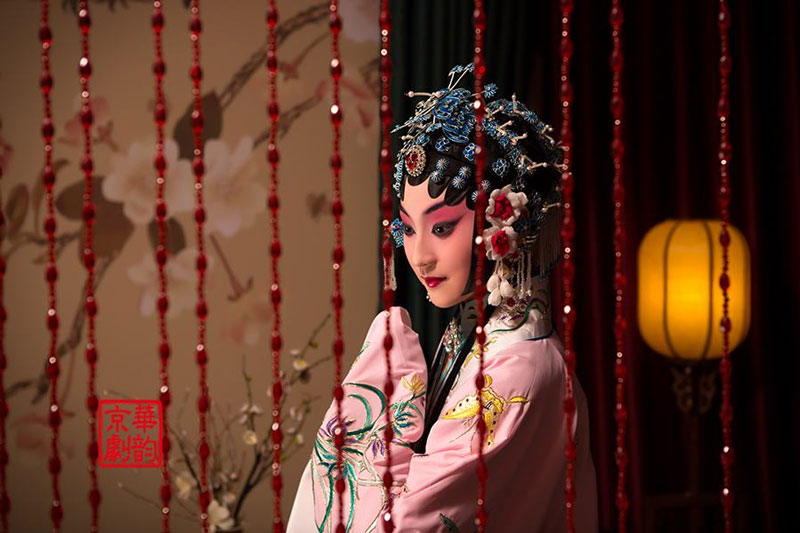 京剧《采花赶府》唱词完整版下载PDF
