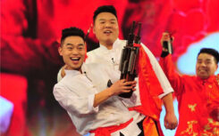 坠子书大全全集 视频下载 21部 H50208