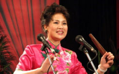 河南坠子大全全本全部 视频下载 23部 H50209