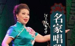 河南戏曲大全河南坠子 视频下载 10部 H50202
