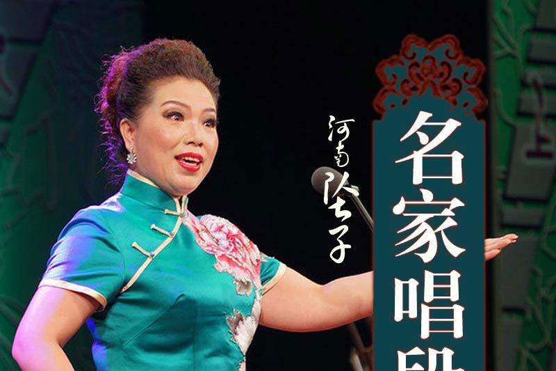 河南戏曲大全河南坠子 视频下载 10部 H50202