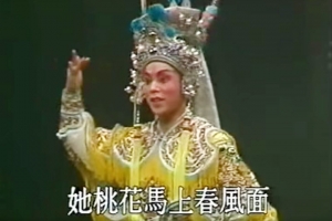潮剧全剧《穆桂英大破天门阵》MP4视频下载 百度网盘