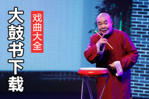 牛崇光大鼓书全集 张桂银大鼓书下载 D10306