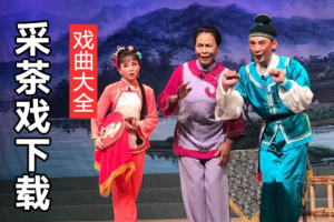 正宗南康采茶戏全集 赣南南康采茶戏大全下载 C40602