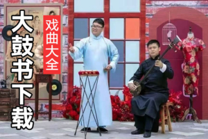 民间大鼓书 河南大鼓书全集打包下载 D10302