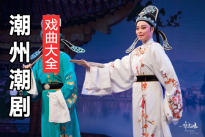 潮剧下载 潮汕戏剧百度网盘下载 C116