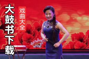 山东大鼓书全集 大鼓书MP3打包下载 D10303