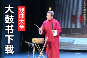 最好听的大鼓书 河南大鼓书全集下载 D10301