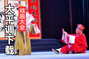河南大平调视频下载 大平调名家名段视频大全 D207