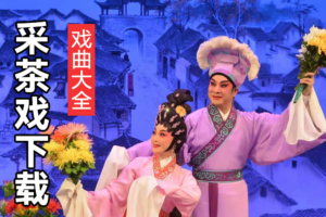 宁都半班采茶戏 宁都采茶戏全集 宁都半班戏下载 C40501