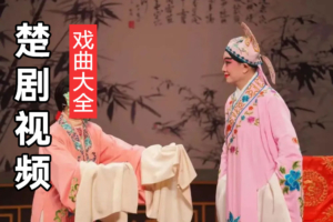 湖北楚剧大全 湖北最有名的楚剧 楚剧全集完整版 C20204
