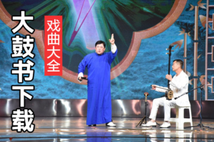 牛崇光大鼓书全集 牛崇光大鼓书打包下载 D10309