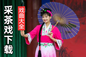 南昌采茶戏全剧 南昌采茶戏经典曲目下载 C40702
