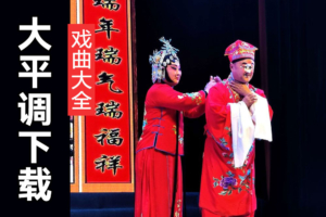 大平调经典唱段大全 大平调名家名段100首 D206