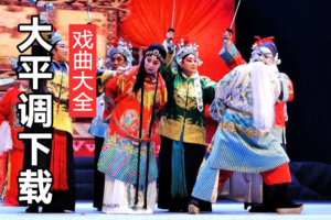 山东菏泽大平调全场戏 大平调全集打包下载 D205