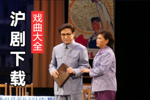 上海沪剧院 经典沪剧龙凤花烛 金绣娘 借黄糠 H165