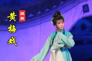 黄梅戏MP3下载 黄梅戏百度网盘打包下载100部 H30108