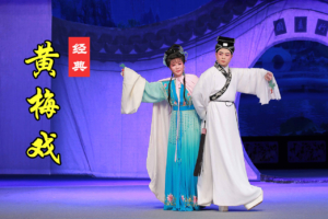 黄梅戏全集下载 恶婆婆 恶媳妇等10部黄梅戏打包下载 H30107