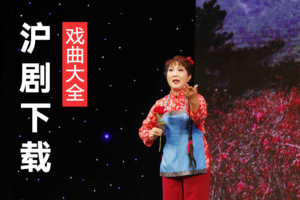 沪剧紫竹调 解洪元沪剧 丁是娥沪剧下载 H163