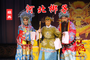 戏曲河北梆子大全集 精选视频 100部 H40203