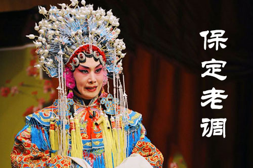 保定老调视频下载