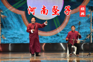 河南坠子全集打包下载 名家演唱 16部 H50107