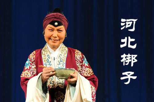 河北梆子视频下载