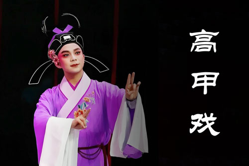 高甲戏视频下载