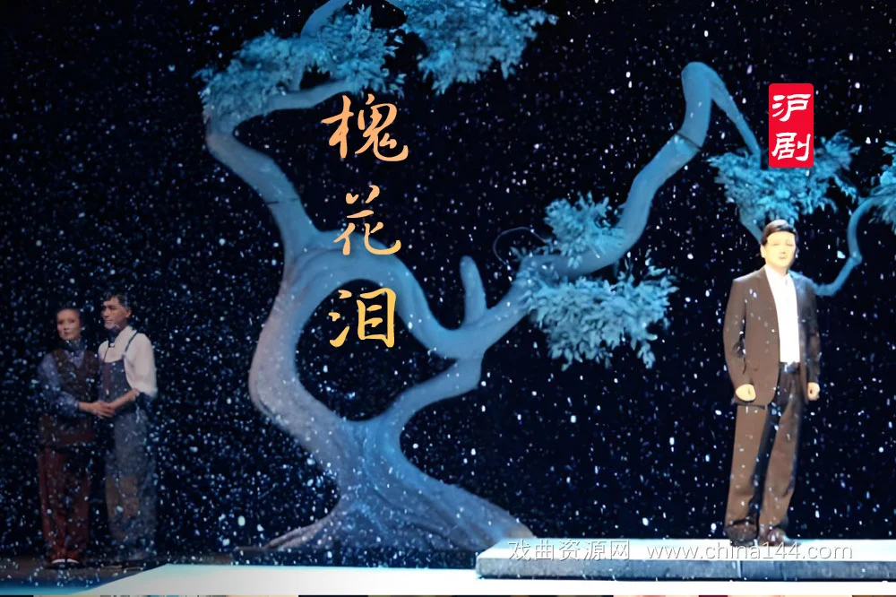 沪剧《槐花泪》
