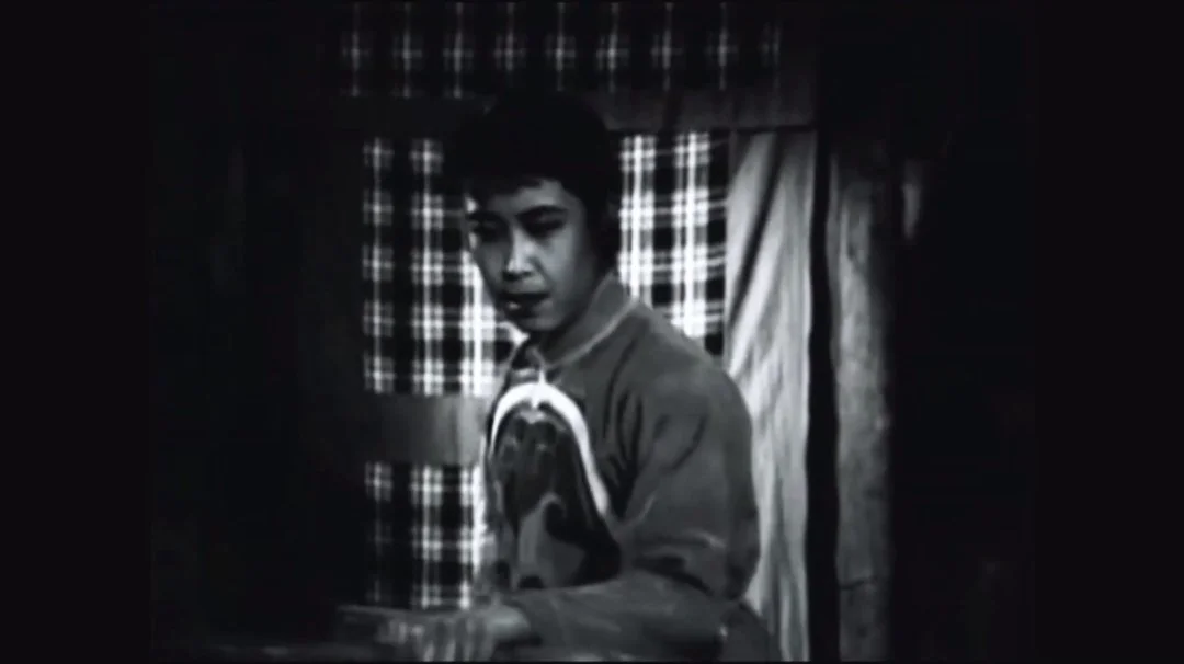 吕剧李二嫂改嫁