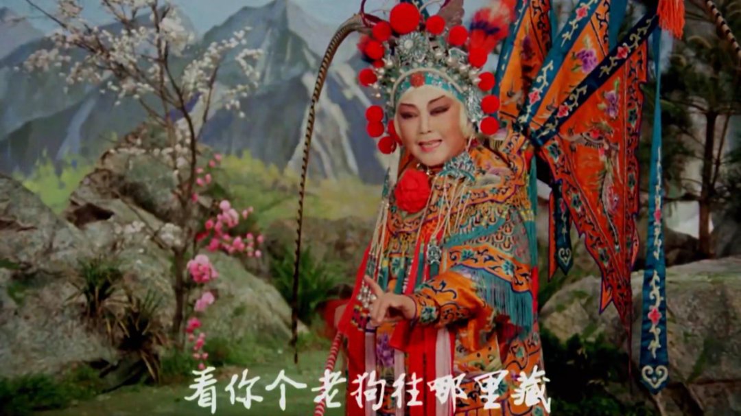 豫剧电影《花枪缘》