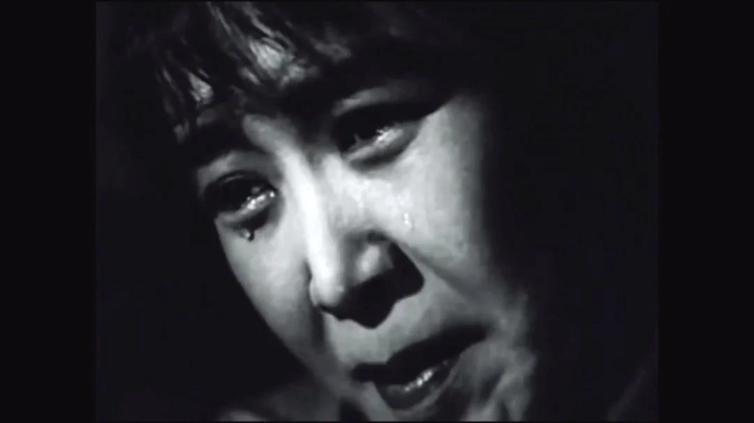 吕剧李二嫂改嫁