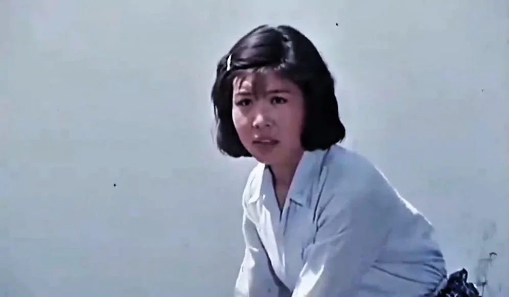 评剧嫁不出去的姑娘