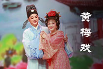 黃梅戲視頻下載